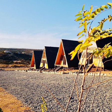 Ixchel Glamping Valle De Guadalupeエンセナダ 部屋 写真